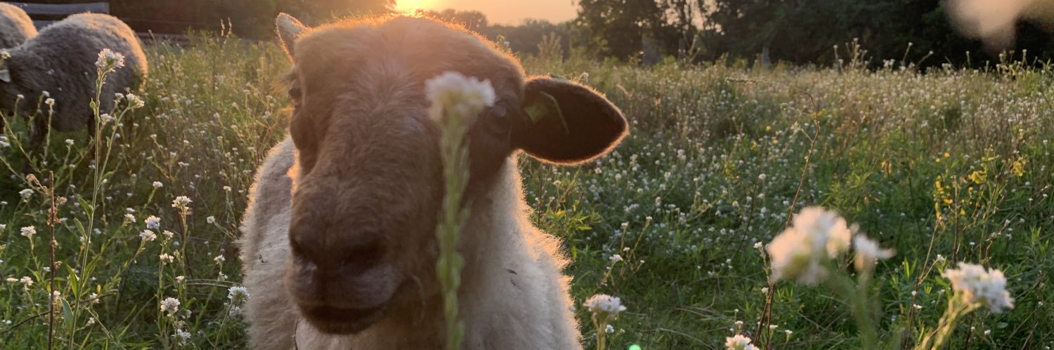 Newmy24's profile banner image