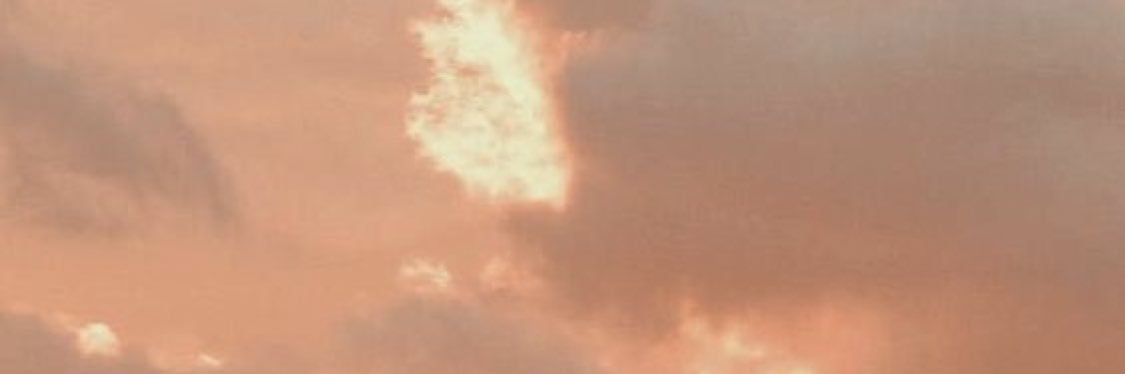 AlleyDarga1's profile banner image