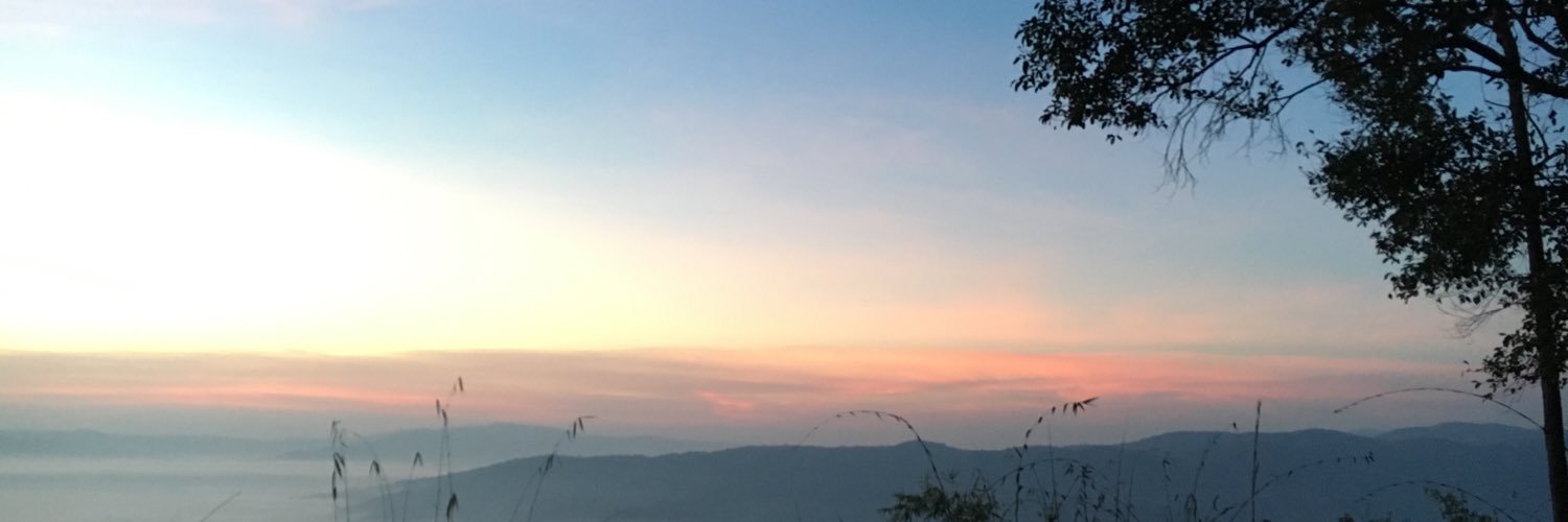 ScupidScupidz's profile banner image