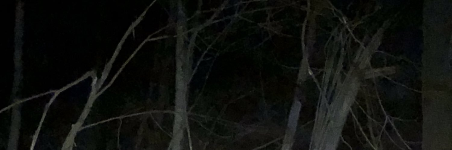 slamsquietly's profile banner image