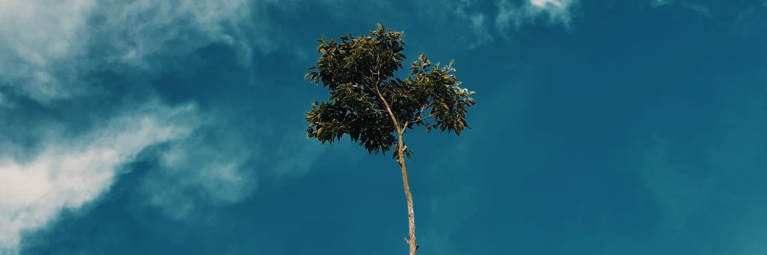 ListianiNS_'s profile banner image