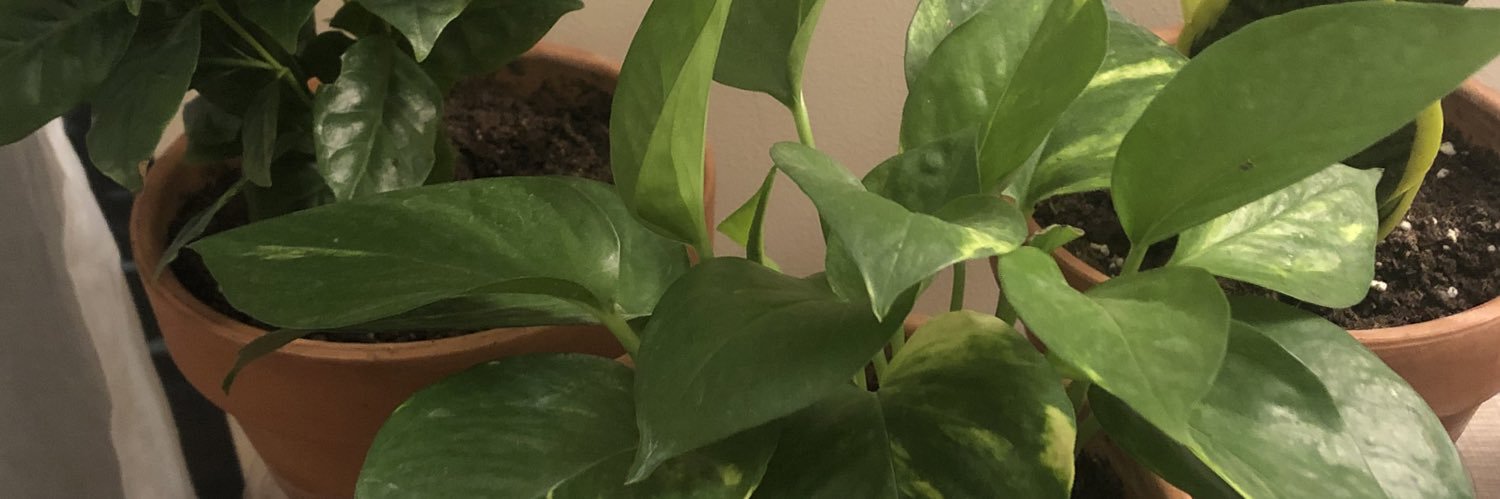 mason_kelso's profile banner image