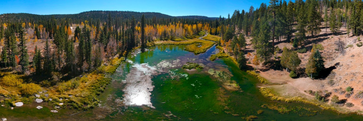 usfsdnf's profile banner image