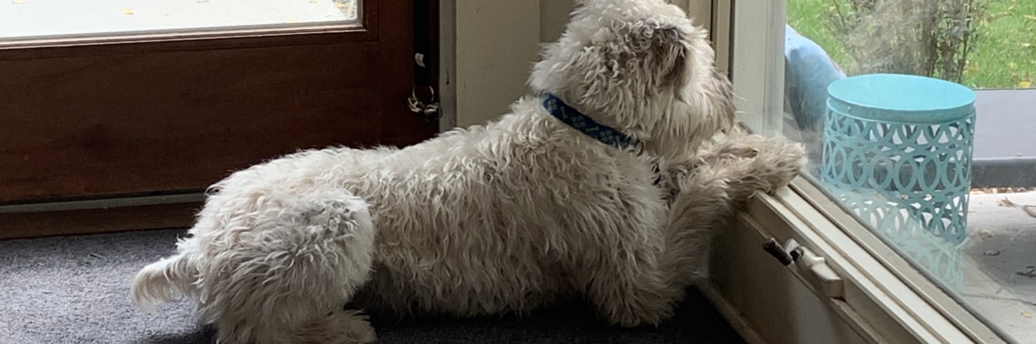 Kim Van Brunt banner