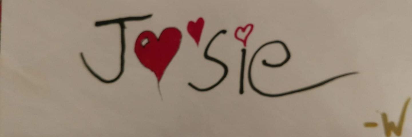 JoyceAnnBrooks's profile banner image