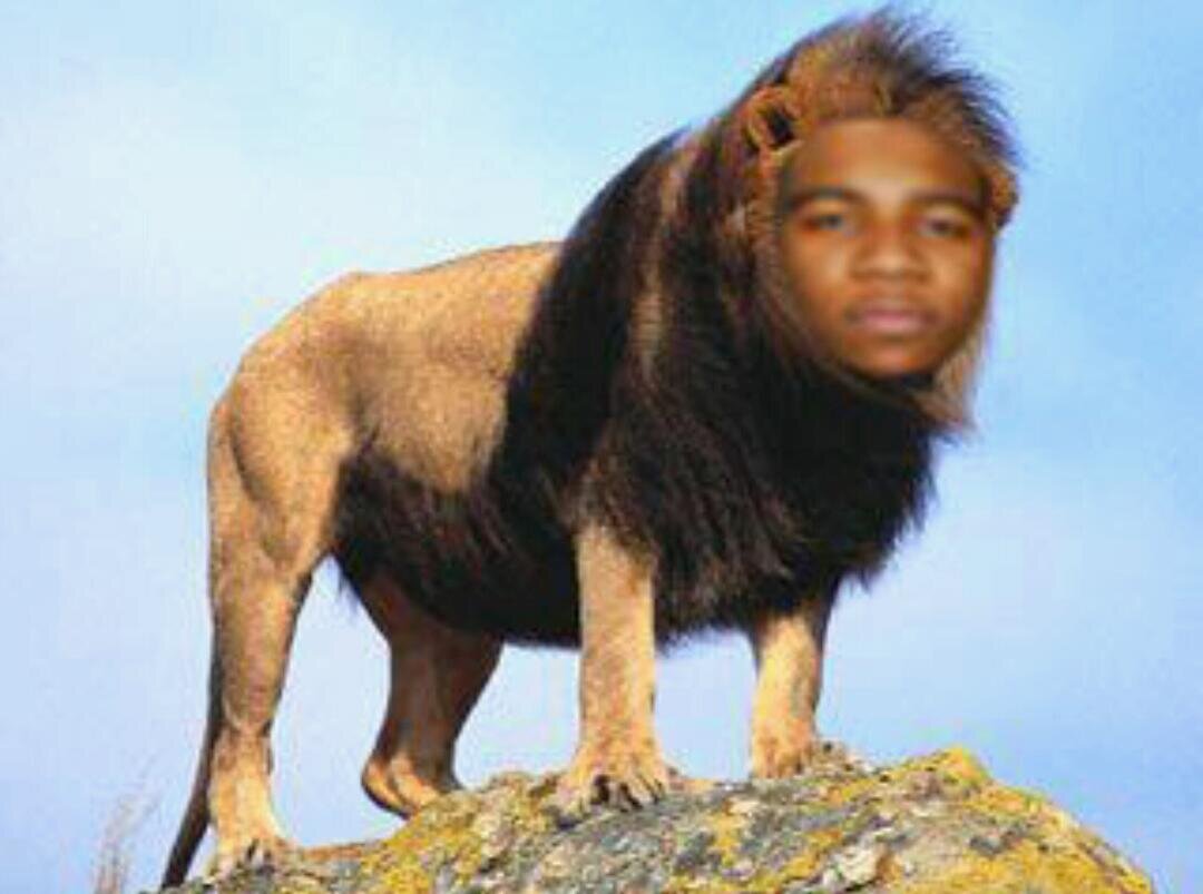 Knghaz's profile banner image