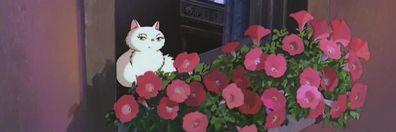 alysasophia17's profile banner image