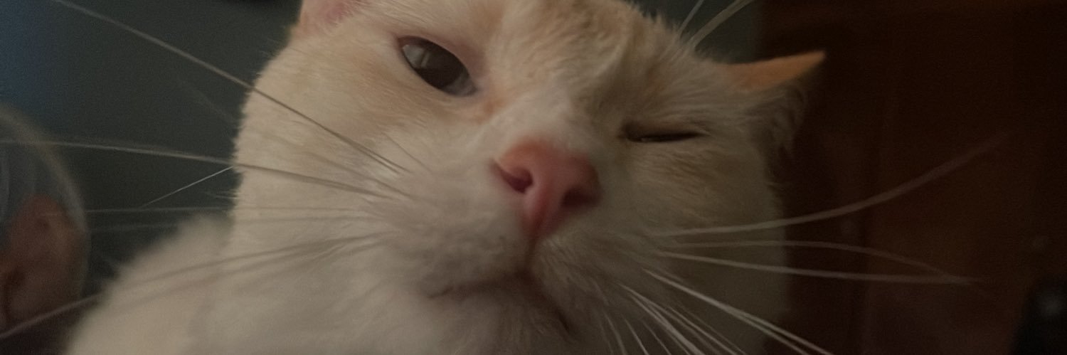 Хулио🐉 banner