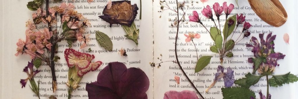 bastoscami's profile banner image