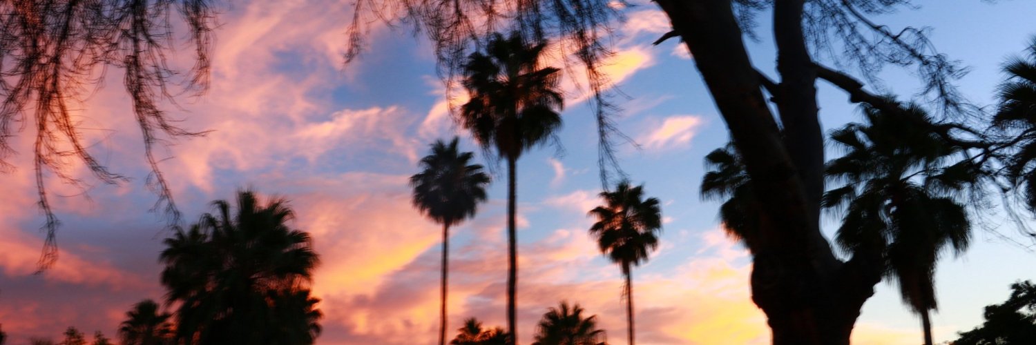 gustavoecf's profile banner image