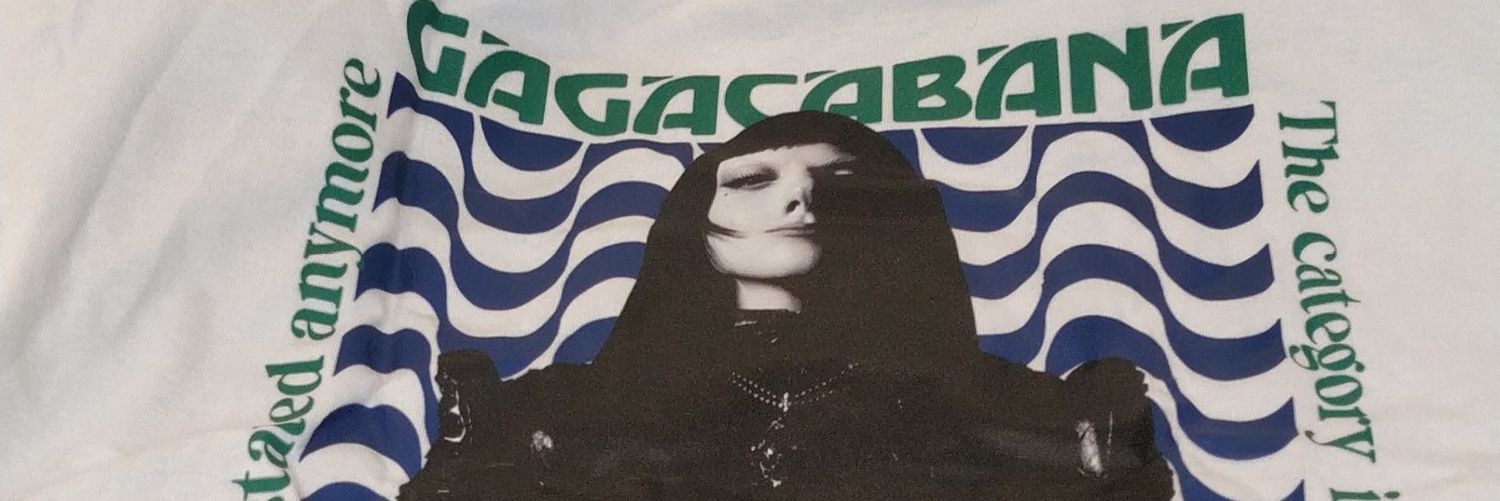 rayssahasters's profile banner image
