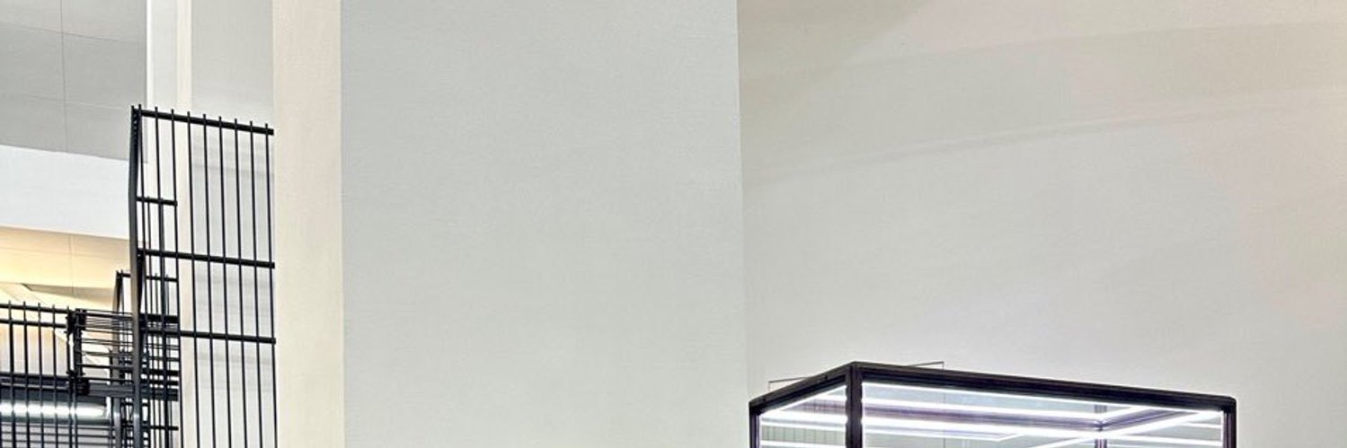 IAN. banner