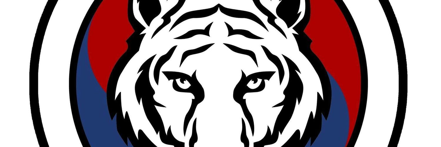 koreanfacekick's profile banner image