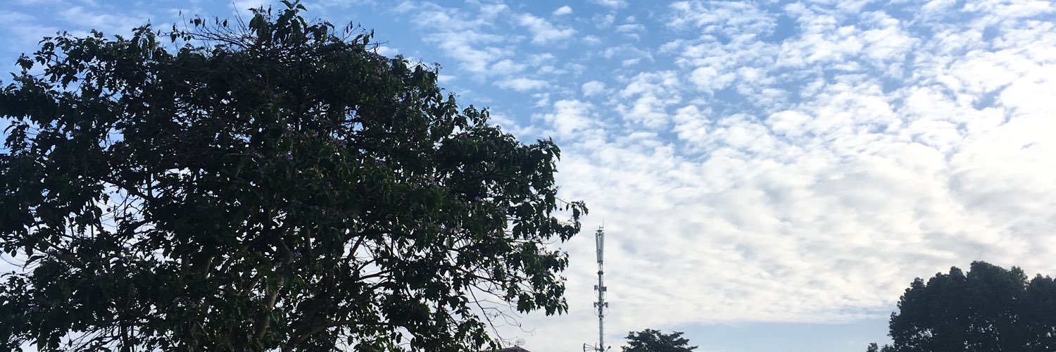 erlinanisaa's profile banner image