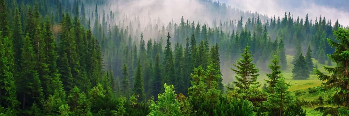 AdamBeberg's profile banner image