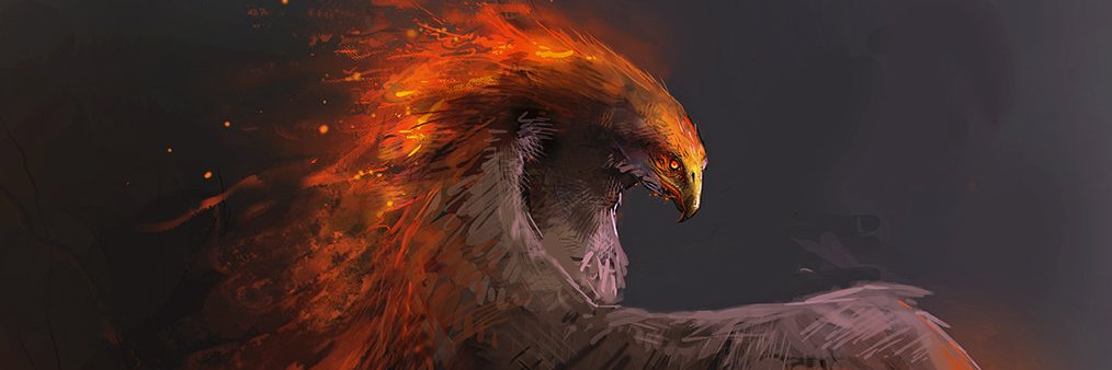 ilandsam's profile banner image