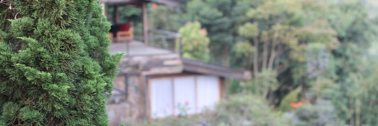 franlydf's profile banner image