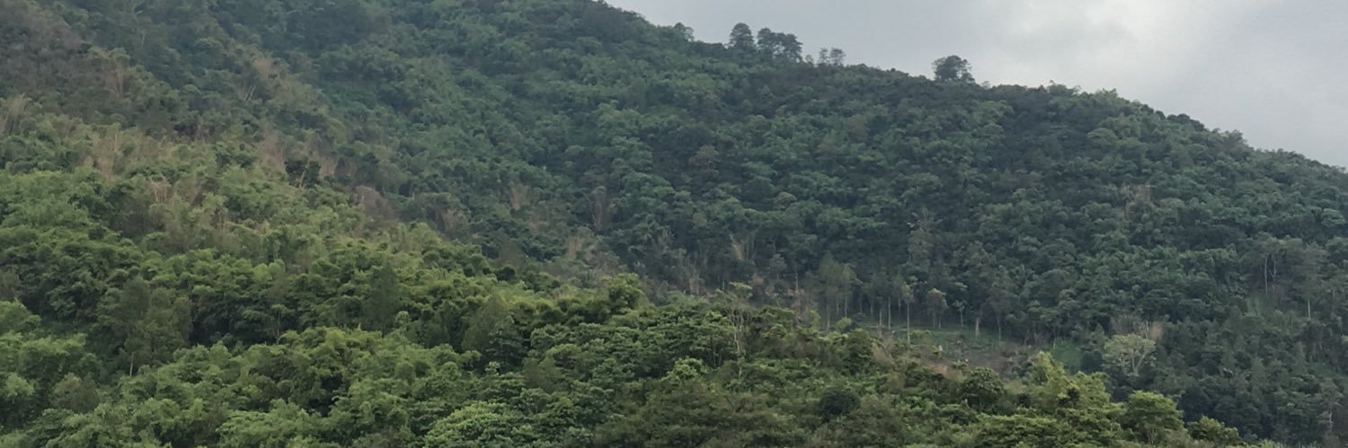 riperseu's profile banner image