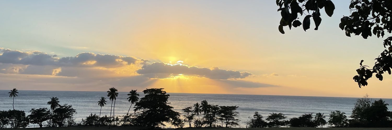 lauracsear's profile banner image