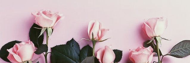 champagnee17's profile banner image
