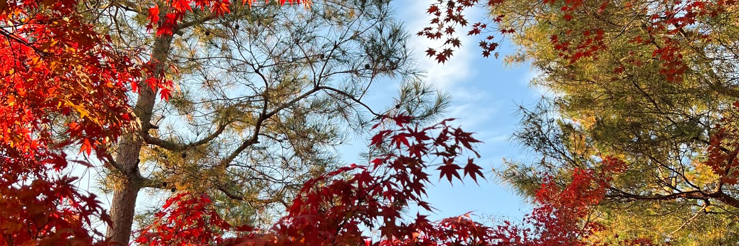 DanielChao4's profile banner image