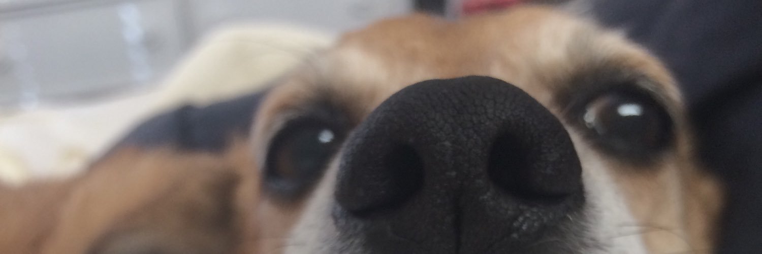 oohxlla's profile banner image