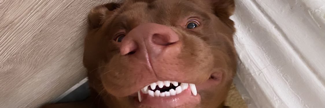 ChantalFlowerr's profile banner image