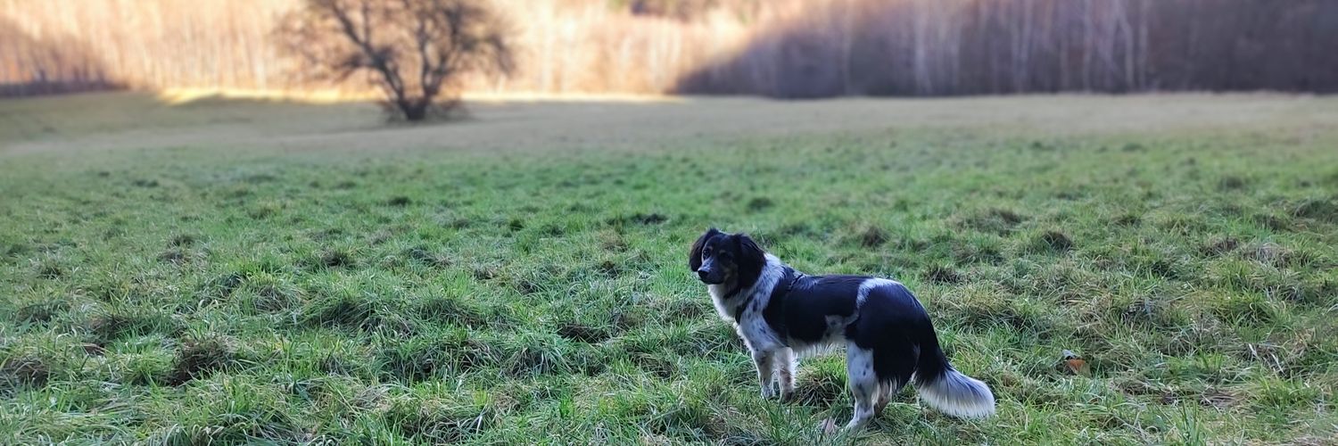 MartinPfeifer79's profile banner image