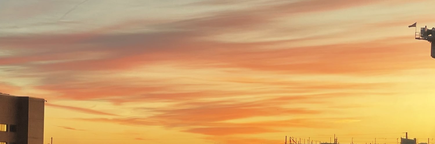 shannon_behara's profile banner image