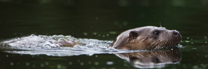 DerekMinto's profile banner image