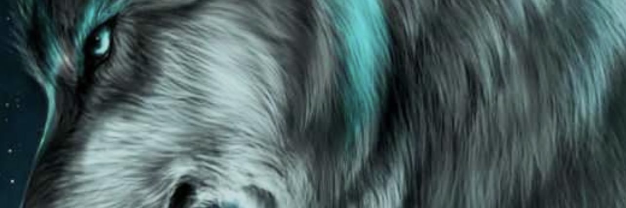 hamedamer85's profile banner image