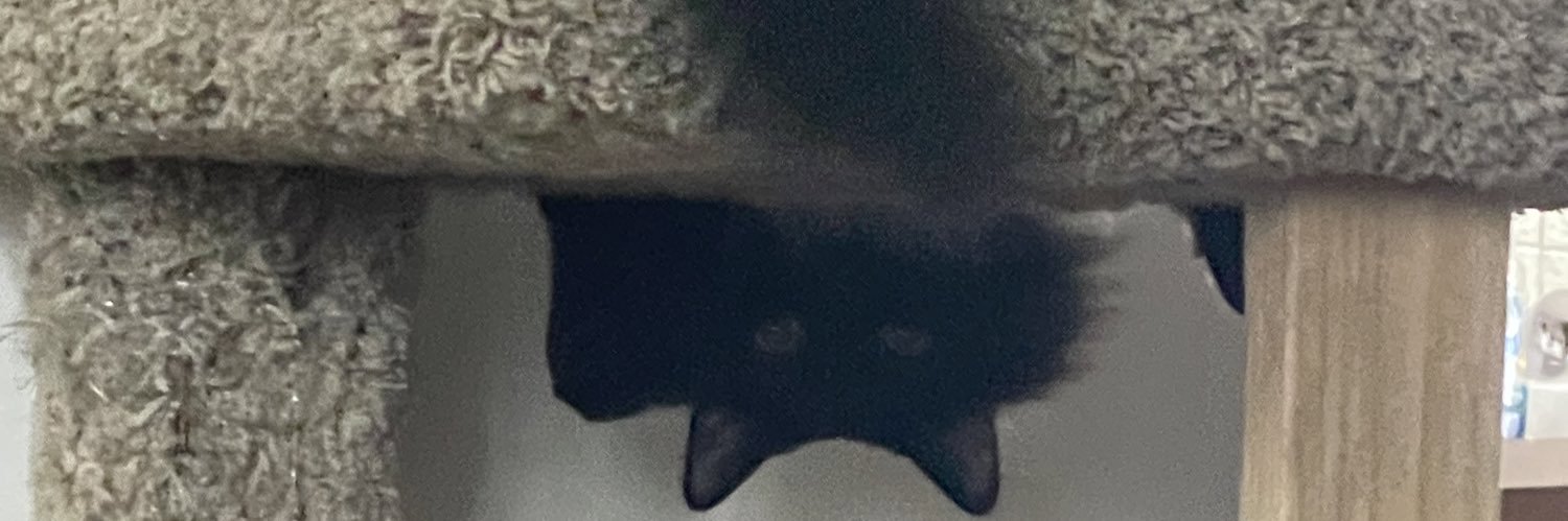 p00pypantz_'s profile banner image