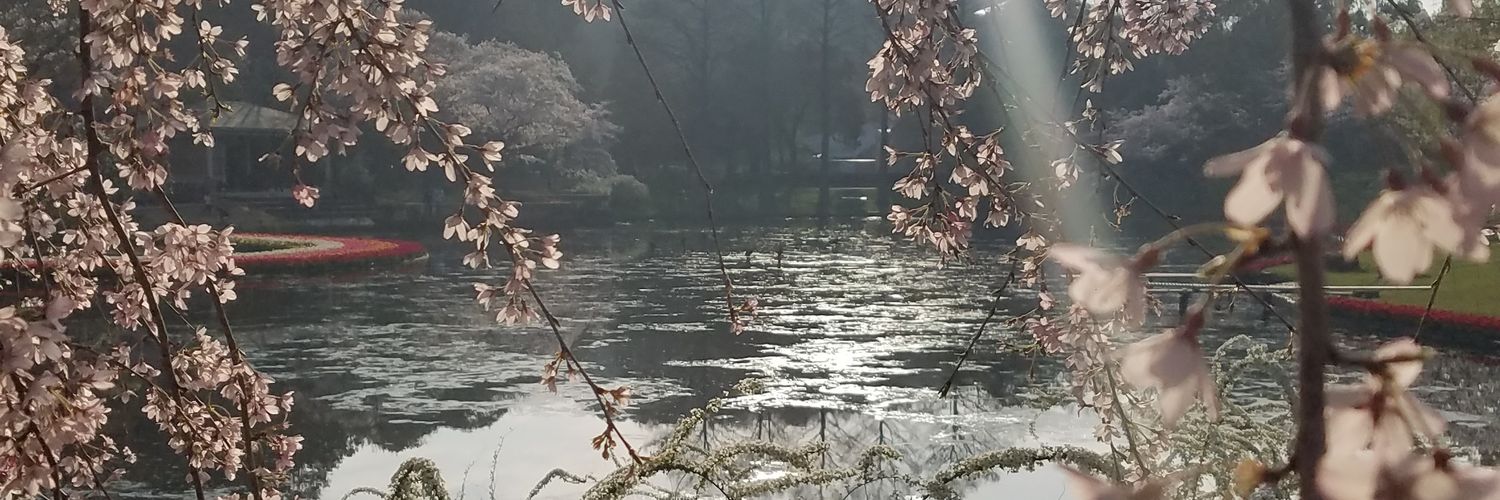 LilyclHung's profile banner image
