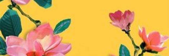 BunnyCats's profile banner image