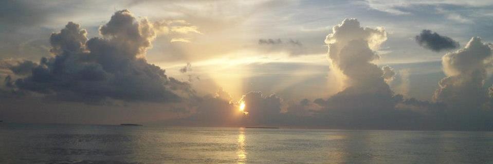 LisaB_CTCPA's profile banner image