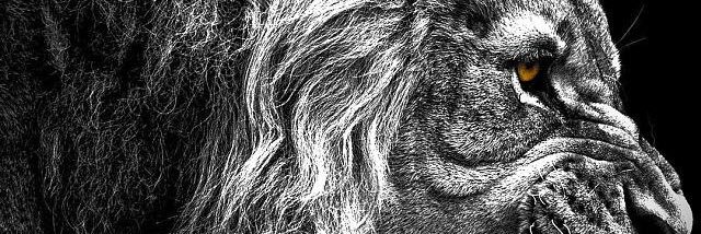 ShadRock_'s profile banner image