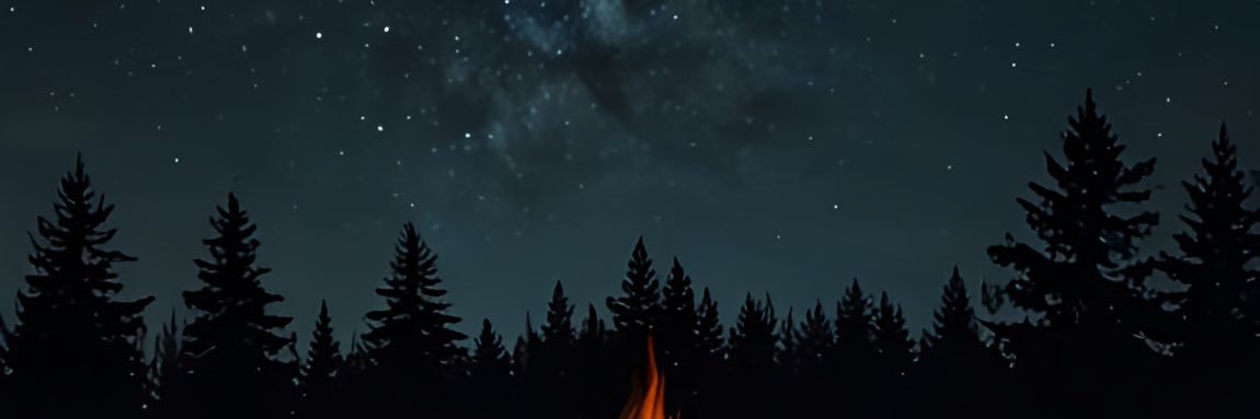 foxtime20's profile banner image