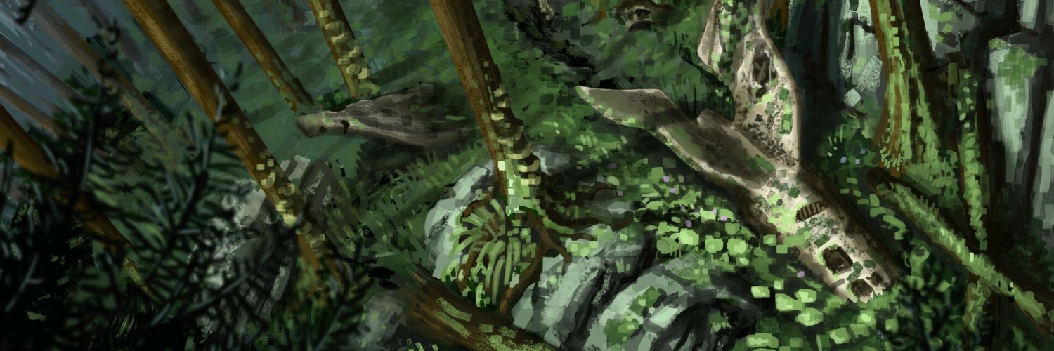 amirdror's profile banner image