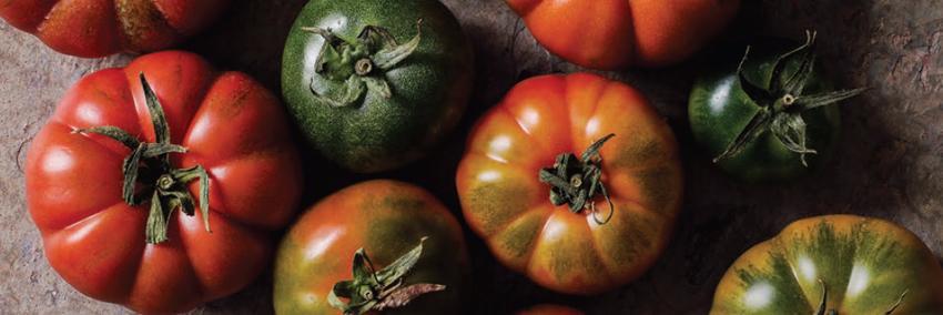 carlucciostr's profile banner image