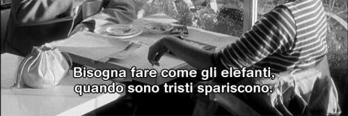 Roberta Ungaro banner