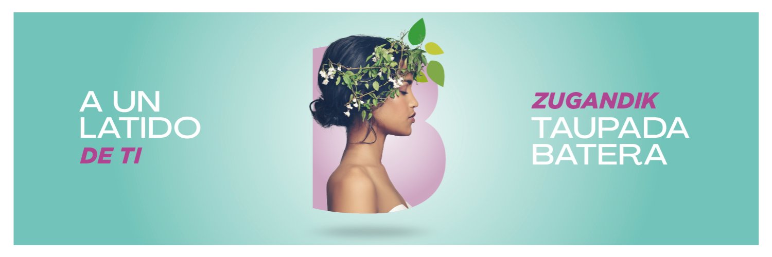 C.C. El Boulevard banner