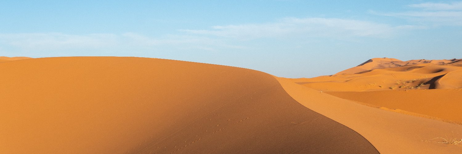 joaopinetree's profile banner image