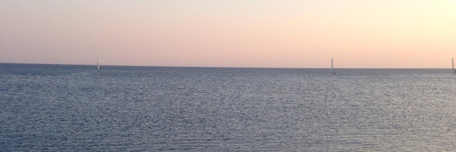 zeynepptoy's profile banner image
