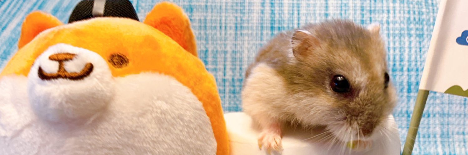 Flying_Taiyaki's profile banner image