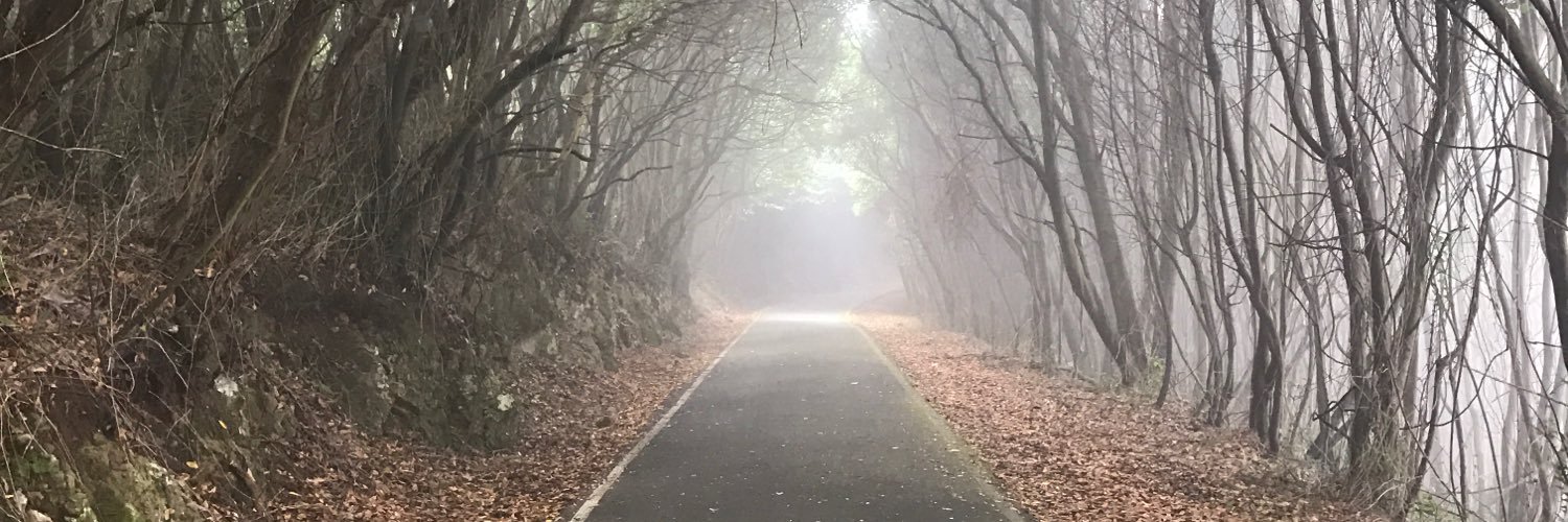 daniptweets's profile banner image