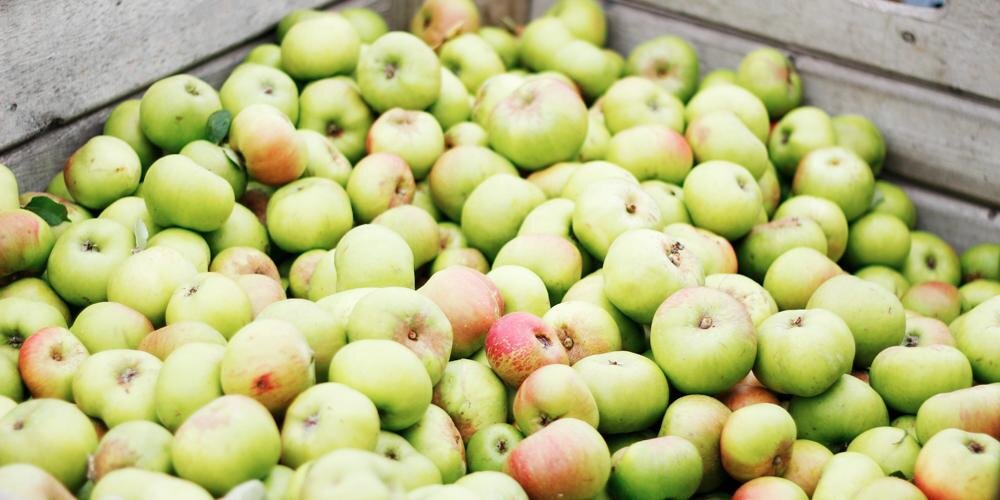 The Orchard Tea Room banner