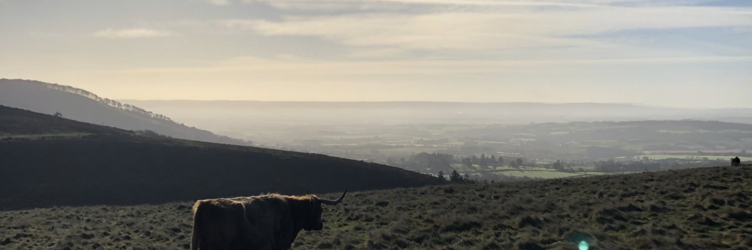 Beaumont_Toby's profile banner image