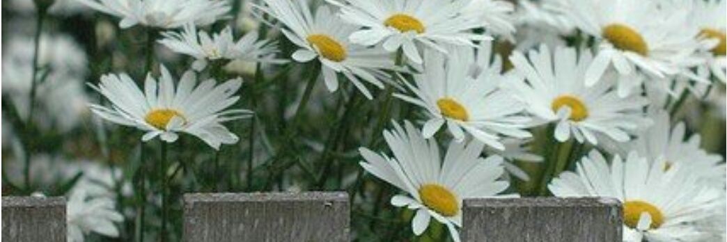 M_3_03's profile banner image
