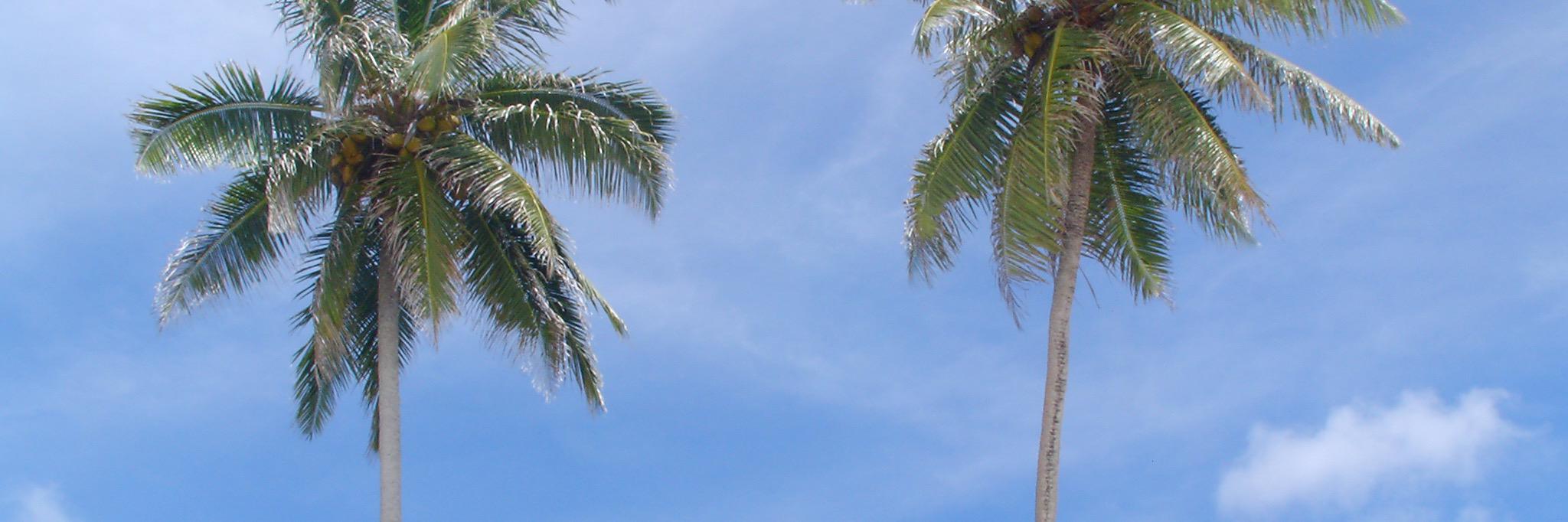 IgorUboldi's profile banner image