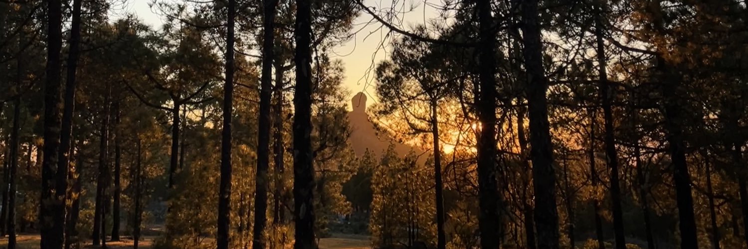 155Joel's profile banner image